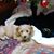 Debra Keithley Franklin's profile image