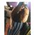 Janelli L Quezada Estrada's profile image