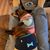 Susan Masterson's profile image
