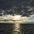 Nancy Hauswald's profile image