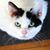 Joan Weiss's profile image