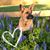 Lisa Hladek Parker's profile image