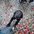 Margarita Maria Garzon Garzon's profile image