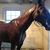 Merideth Rankin Harrington's profile image