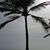 Michele Payne-Ollis's profile image