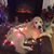 Kathy Mattox Morton's profile image