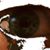 Idon Wanasay's profile image