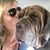 Jill Salsbury Bollman's profile image