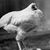 Duane Berge's profile image