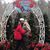 Julie Bowling Willimon's profile image