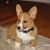 Don Graham's profile image