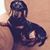 Kathy Ellis's profile image