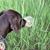 Jaykob Witter's profile image
