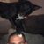 Tony Beamish's profile image
