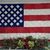 Ann Duchow's profile image