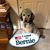Scott M B Gustafson's profile image