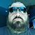 Al Barboza's profile image