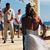 Michele Pacella Koury's profile image