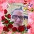 Lori Ott-Masen's profile image