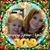 Linda Newton's profile image