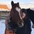 Kelly Glidden-Watson's profile image