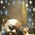 Carletta Priester Williams's profile image