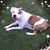 Sandra Elliott Sampson's profile image