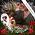 Yvette Adorno's profile image