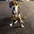 Brian K. Coakley's profile image