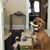 Misty Hogsett's profile image