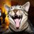 Bergdorf Arieh's profile image