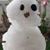 Steve Kuykendall's profile image