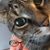 Dawn Garrett's profile image