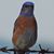 John Kenneth Schultz's profile image