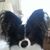Teena Marie Faris's profile image