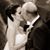 Vincent Culotta's profile image