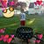 Nancy Schneider's profile image