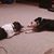 Judy Nisevich's profile image