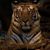 Timothy Wood's profile image