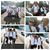 Jeannie Garrison's profile image