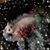 Donna Mccollum's profile image