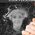 Lori Younglove's profile image