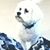 Bob Thurmer's profile image