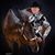 Dianne Schaefer's profile image