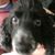 Cathy Reukauf's profile image
