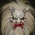 Josh LaRue's profile image