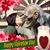 Susan Miller's profile image