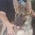 Paula Frazzini's profile image