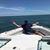 Guilherme Guedes Afonso Barbosa's profile image
