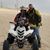 Bill Herron's profile image